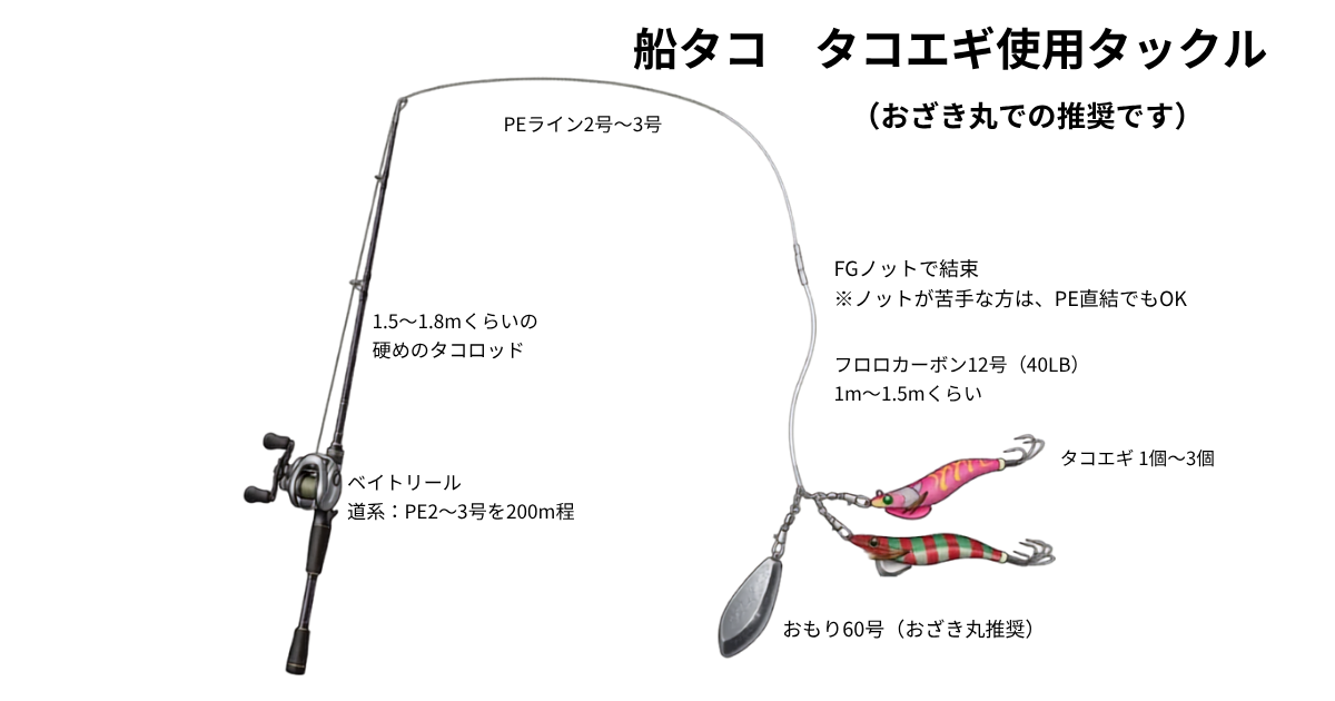 おざき丸での船タコのタックルと仕掛け図