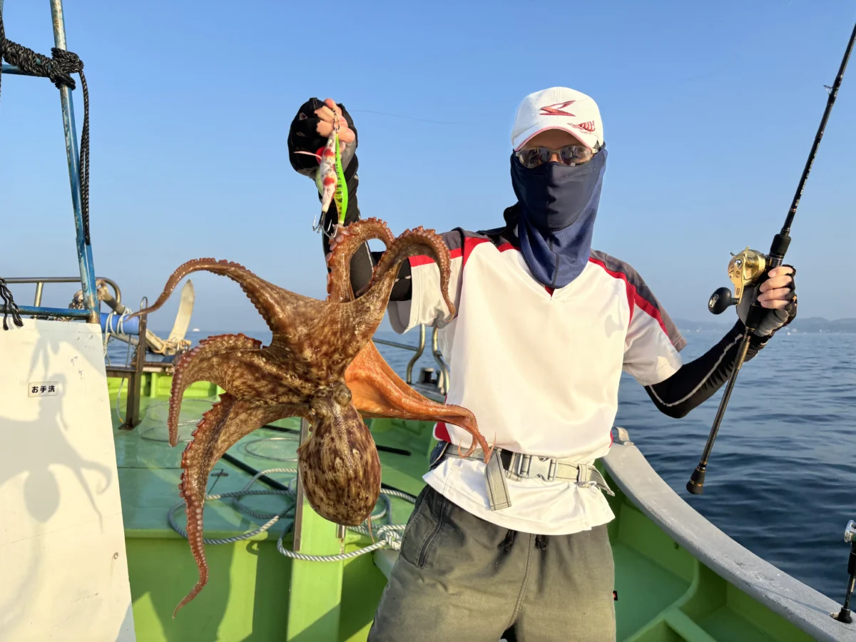 おざき丸で釣れた知多半島の夏の風物詩、良型のマダコ