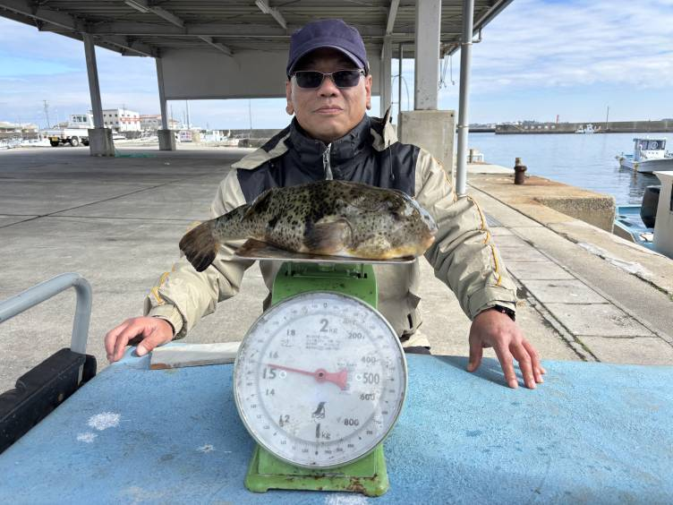 知多・片名港のおざき丸！2月26日のフグ釣果情報